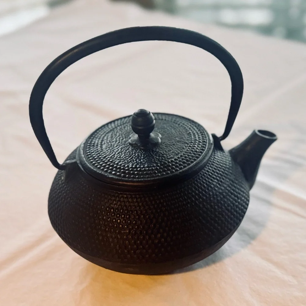 VINTAGE Japanese Cast Iron Teapot - Black Kettle Pot for Tea & Collector